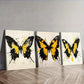 3pcs Black And Yellow Butterflies Colorful Wall Art Set Canvas Framed 60x90cm - High Quality Print 100% Australian Made Wall Canvas Ready to Hang