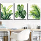 3pcs Tropical Leaf Spring and Summer Themes  Wall Art Set Canvas Framed 40x60cm - High Quality Print 100% Australian Made Wall Canvas Ready to Hang
