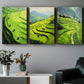 3pcs Abstract Terraced Mountain Green Themed Metal Print Ready to Hang Art