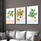 3pcs Plant Arrangement with Lemons & Oranges Wall Art Set Canvas Framed 40x60cm - High Quality Print 100% Australian Made Wall Canvas Ready to Hang