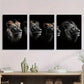 3pcs African Lion Black and White Metal Print Ready to Hang Art
