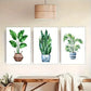 3pcs Botanical Art Potted Plant Poster Dormitory Metal Print Ready to Hang Art