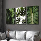 3pcs Green Monstera Deliciosa Leaves Wall Art Set Canvas Framed 40x60cm - High Quality Print 100% Australian Made Wall Canvas Ready to Hang