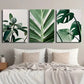 3pcs Green Plant Leaves Tropical Botanical Metal Print Ready to Hang Art