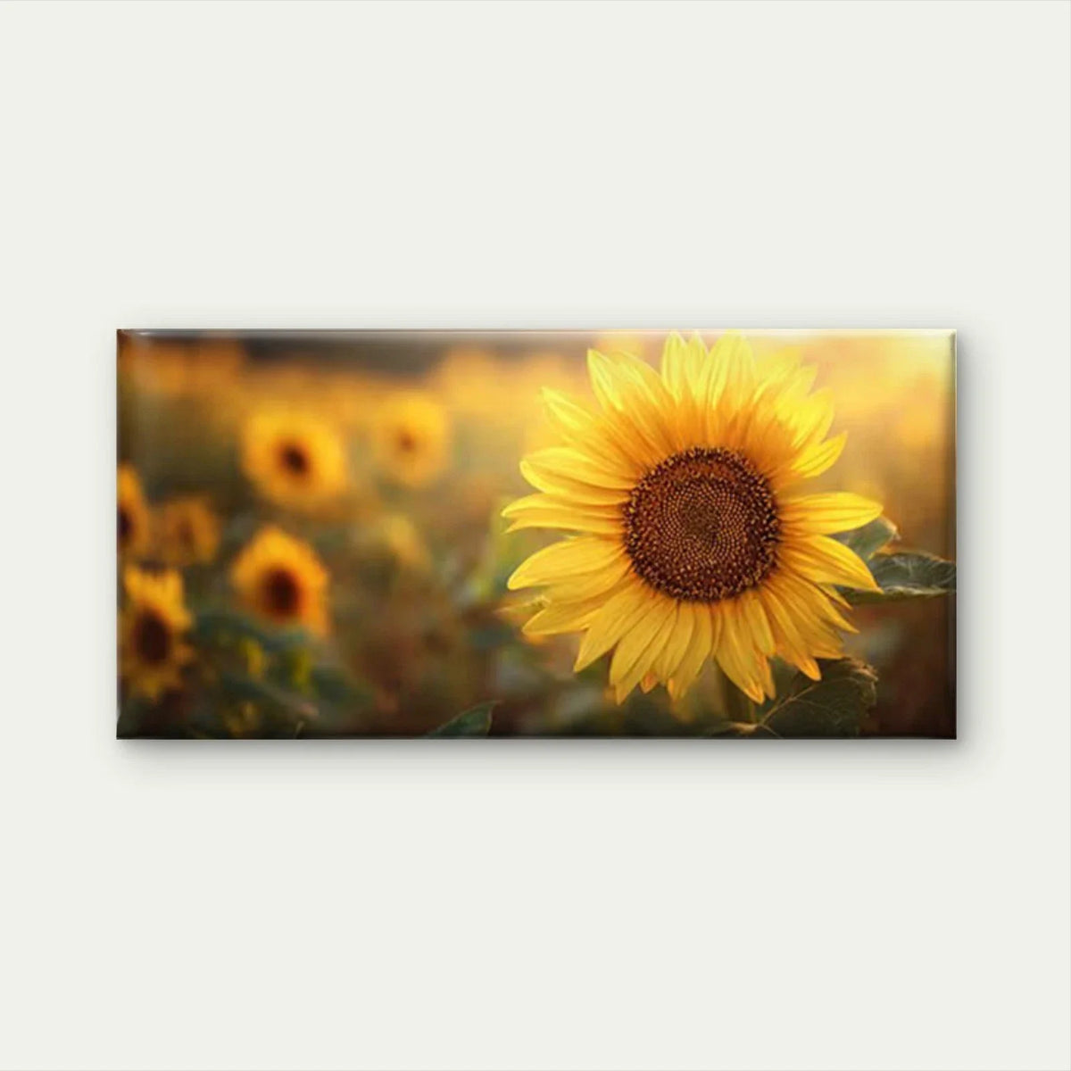 Sunflower Golden Sunshine Wall Art Canvas Office Home Room Framed 80x45cm