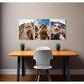 3pcs  Funny Cats at Great Wall Pyramid & Mount Fuji   Metal Print Ready to Hang Art