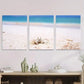 3pcs Beach Scene Ocean Crab & Seashells Wall Art Set Canvas Framed 40x60cm - High Quality Print 100% Australian Made Wall Canvas Ready to Hang