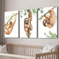 3pcs Wildlife Sloth Watercolor Decor Wall Art Set Canvas Framed 40x60cm - High Quality Print 100% Australian Made Wall Canvas Ready to Hang
