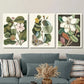 3pcs Vintage botanical magnolia flowers, Metal Print Ready to Hang Art