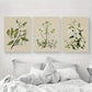 3pcs Neutral Botanical Flower Design Metal Print Ready to Hang Art