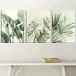 3pcs Natural Plant Leaves Simple Landscape Art Metal Print Ready to Hang Art