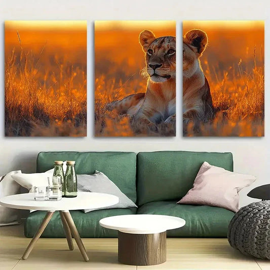 3pcs Lioness Resting in Golden Savanna Metal Print Ready to Hang Art