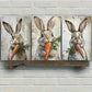 3pcs Cute Bunny and Carrot Whimsical Farmhouse Metal Print Ready to Hang Art