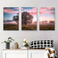 3pcs Sunrise Tree Misty Field Nature Morning Sky Metal Print Ready to Hang Art
