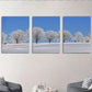 3pcs Snow Bay Winter Sky & Snowy Trees Metal Print Ready to Hang Art