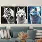 3pcs Black White Wolf with Stunning Blue Eyes Wall Art Set Canvas Framed 40x60cm - High Quality Print 100% Australian Made Wall Canvas Ready to Hang