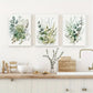 3pcs   Sage Green & Beige Wildflowers, Bohemian  Metal Print Ready to Hang Art