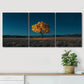 3pcs Autumn Tree Peaceful Blue Dark Perfect Wall Art Set Canvas Framed 40x60cm - High Quality Print 100% Australian Made Wall Canvas Ready to Hang