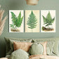 3pcs Retro Tassel Fern Green Leaves Design Metal Print Ready to Hang Art