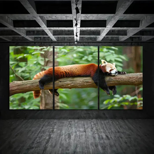 3pcs Animal Sleeping On Branch Metal Print Ready to Hang Art
