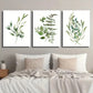 3pcs Green Leaf & Plant Watercolor Botanical Metal Print Ready to Hang Art