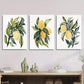 3pcs  Botanical Fruit Illustrations with Green Leaf Metal Print Ready to Hang Art