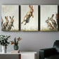 3pcs Abstract Happy Rabbit Dancing Metal Print Ready to Hang Art