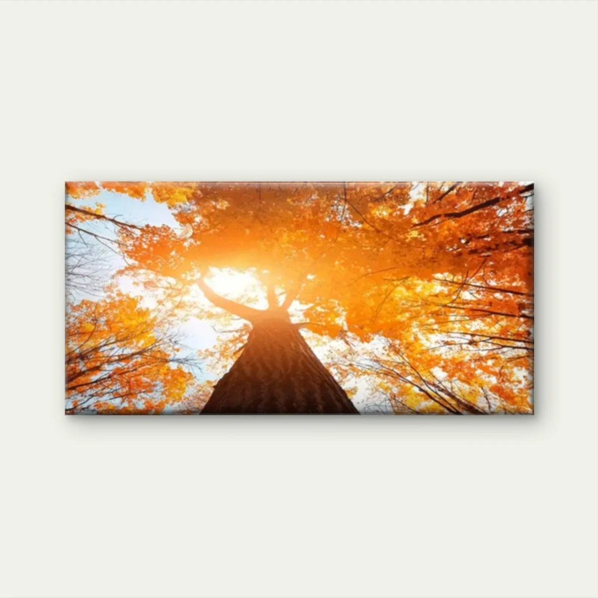 Trees Forest Sun Shining Wall Art Canvas Office Home Room Framed 120x60cm