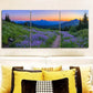 3pcs Vibrant Mountain Landscape with Sunset Wall Art Set Canvas Framed 40x60cm - High Quality Print 100% Australian Made Wall Canvas Ready to Hang