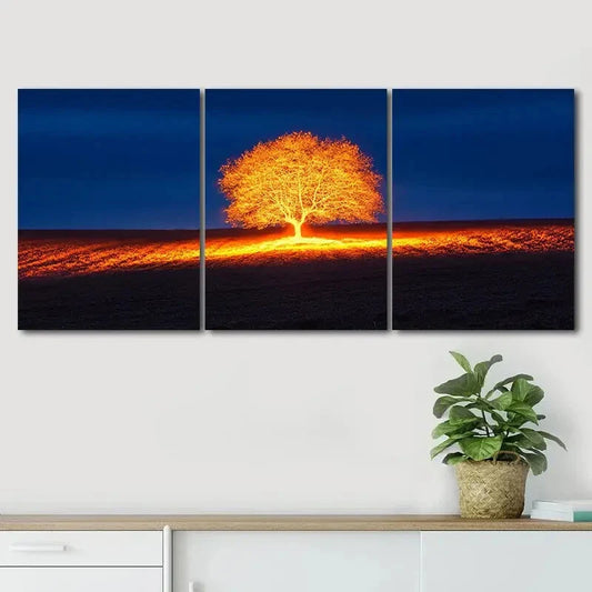 3pcs Dark Autumn Tree Light Shine Perfect Wall Art Set Canvas Framed 40x60cm - High Quality Print 100% Australian Made Wall Canvas Ready to Hang