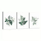 3pcs Elegant Foliage Watercolor Green Leaf Wall Art Set Canvas Framed 40x60cm - High Quality Print 100% Australian Made Wall Canvas Ready to Hang