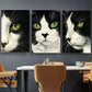 3pcsBlack and White Cat Artwork Canvas Framed 40x60cm - High Quality Print 100% Australian Made Wall Canvas Ready to Hang