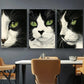 3pcs Black And White Cat Stunning Green Eyes Metal Print Ready to Hang Art