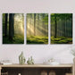 3pcs Sunlight Shining Through Green Forest, Metal Print Ready to Hang Art
