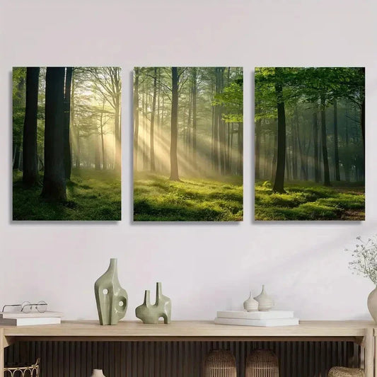3pcs Sunlight Shining Through Green Forest, Metal Print Ready to Hang Art