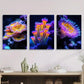 3pcs Fantasy rainbow sea life, colorful Metal Print Ready to Hang Art