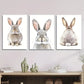 3pcs  cute bunny, rabbit animal nordic Wall Art Set Canvas Framed 40x60cm - High Quality Print 100% Australian Made Wall Canvas Ready to Hang