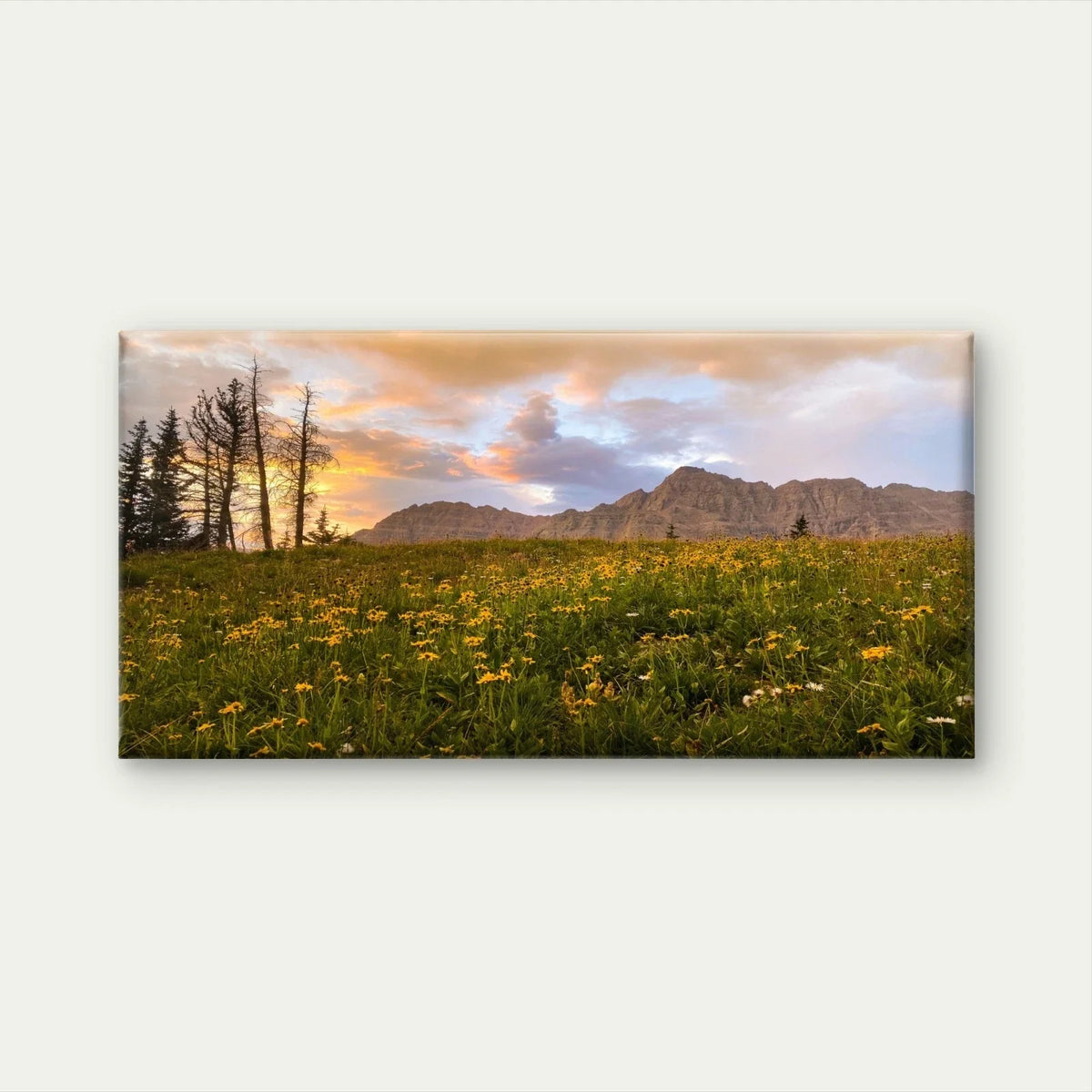 Alpine Meadow Sunset Landscape Wall Art Canvas Office Home Framed 120x60cm