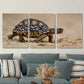 3pcs Golden Hues & Detailed Turtle Patterns Metal Print Ready to Hang Art