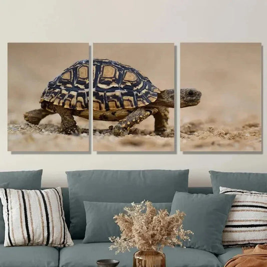 3pcs Golden Hues & Detailed Turtle Patterns Metal Print Ready to Hang Art