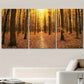 3pcs Autumn Tree Forest Dusk Nature Red & Orange Metal Print Ready to Hang Art
