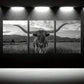 3pcs Highland Cow Long Horn Black and White Metal Print Ready to Hang Art