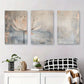 3pcs Abstract Watercolor Floral Lotus Flower Metal Print Ready to Hang Art
