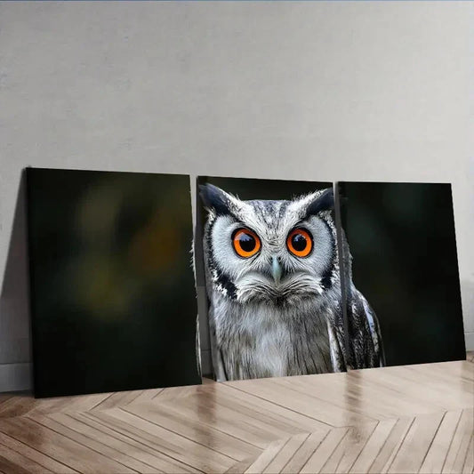 3pcs A photo of an owl with orange eyes  Wall Art Set Canvas Framed 40x60cm - High Quality Print 100% Australian Made Wall Canvas Ready to Hang