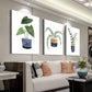 3pcs Cactus & Succulent Potted Canvas Framed 40x60cm - High Quality Print 100% Australian Made Wall Canvas Ready to Hang
