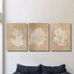 3pcs Beige coral art, seaweed botanical painting, Metal Print Ready to Hang Art
