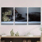 3pcs Black Cat Sleeping Retro Farmhouse Style Metal Print Ready to Hang Art