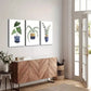 3pcs Cactus & Succulent Potted Canvas Framed 40x60cm - High Quality Print 100% Australian Made Wall Canvas Ready to Hang