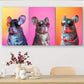 3pcs Cool Chinchilla in Glasses Triptych Wall Art Set Canvas Framed 40x60cm - High Quality Print 100% Australian Made Wall Canvas Ready to Hang