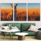 3pcs Kangaroo Island Australia Travel Metal Print Ready to Hang Art